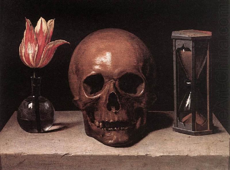 CERUTI, Giacomo Still-Life with a Skull  jg china oil painting image